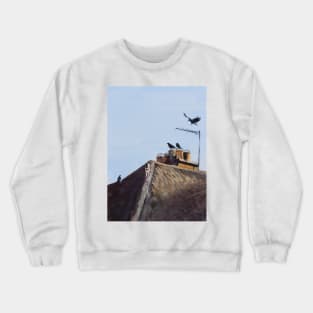 Outnumbered Crewneck Sweatshirt